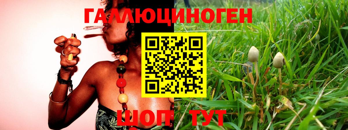 Галлюциногенные грибы Cubensis  Вход с VPN  Рославль 