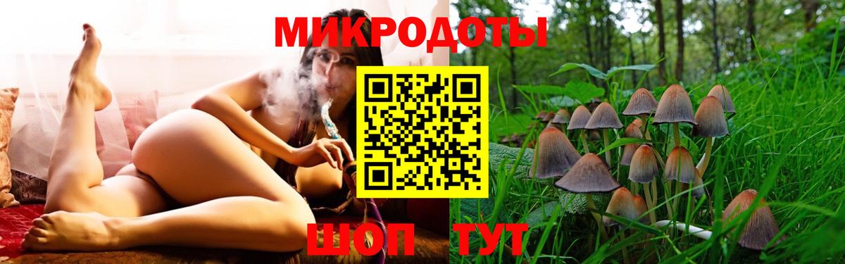 Псилоцибиновые грибы GOLDEN TEACHER Рославль